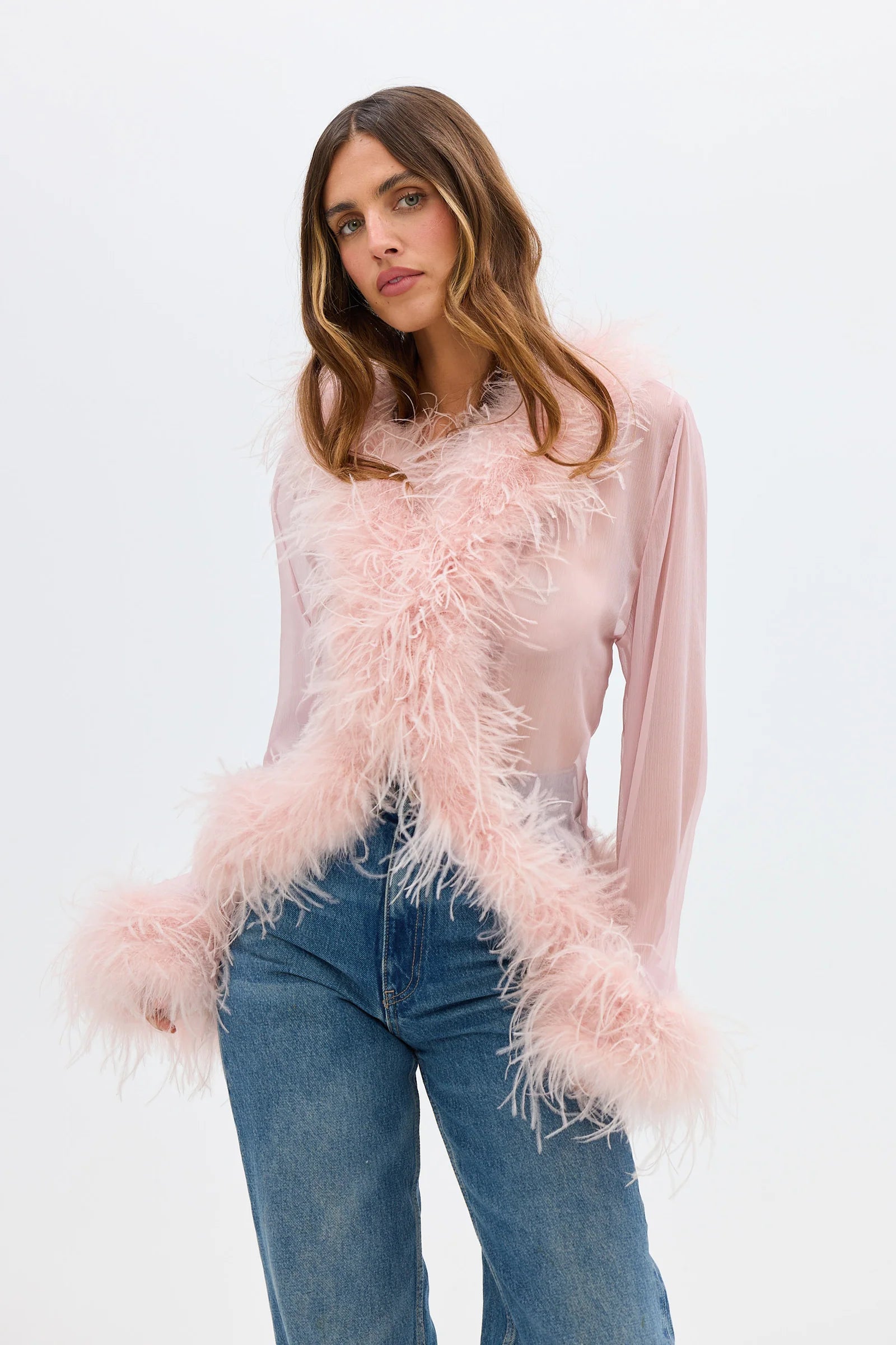 Gigi Sheer Feather Blouse - Blush