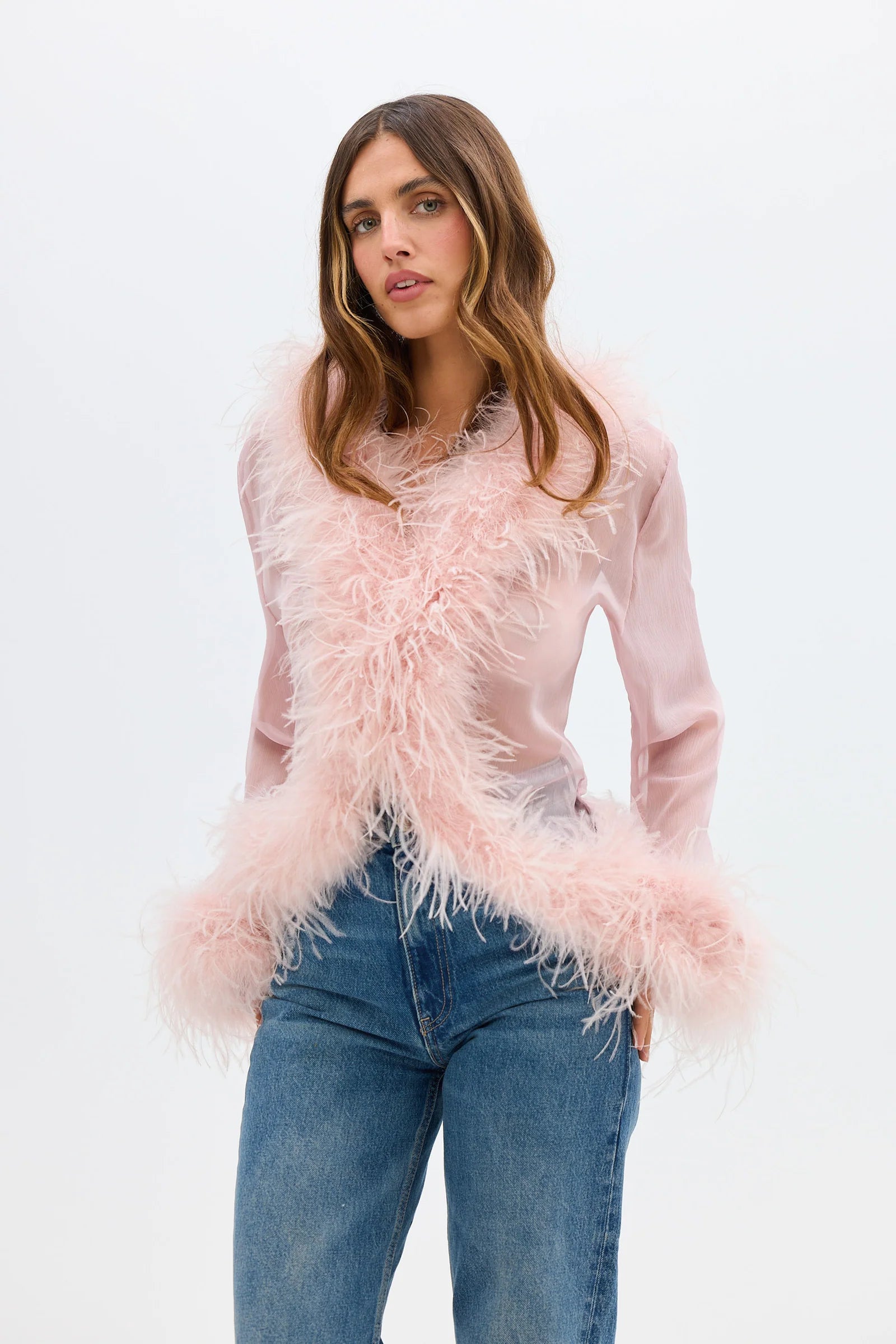 Gigi Sheer Feather Blouse - Blush